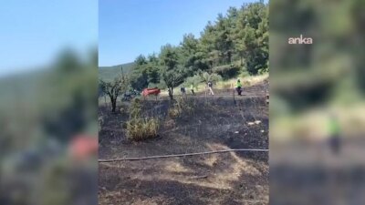 Bornova’da otluk alanda yangın: Büyümeden söndürüldü