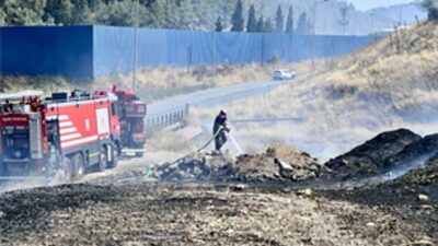 İzmir İtfaiyesi bukalemunu hayata döndürdü