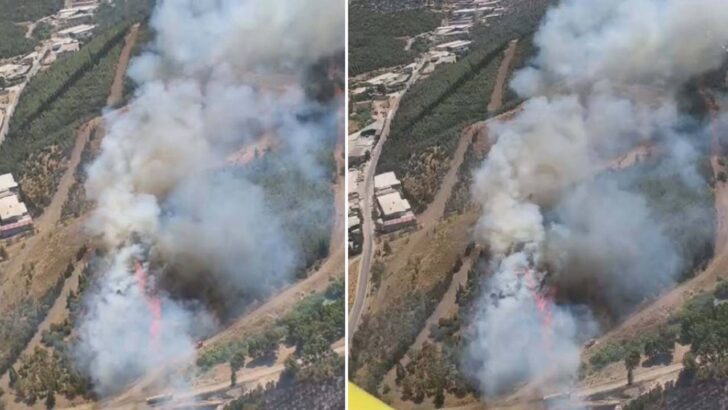 İzmir’de otluk alanda çıkan yangın ormana sıçradı