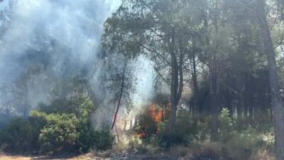 İzmir’in 2 ilçesindeki orman yangınlarına ait 2 gözaltı