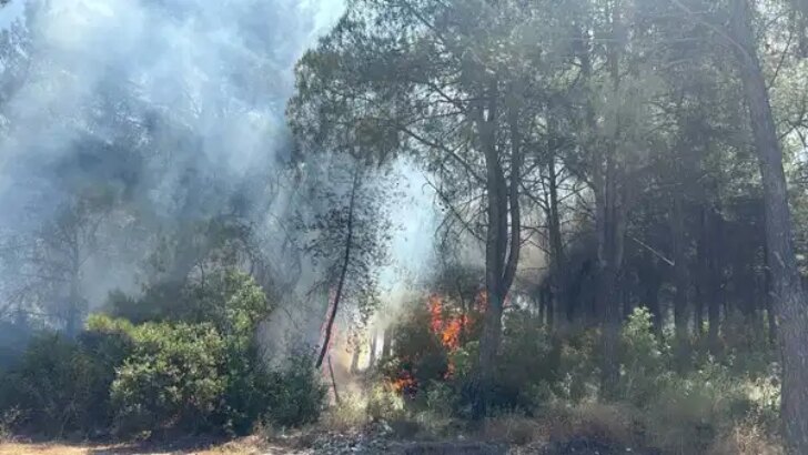 İzmir’in 2 ilçesindeki orman yangınlarına ait 2 gözaltı
